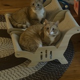 Entry image for Milo & Ollie