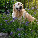 Entry image for Bogey