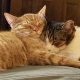 Entry image for Tommy and Irene