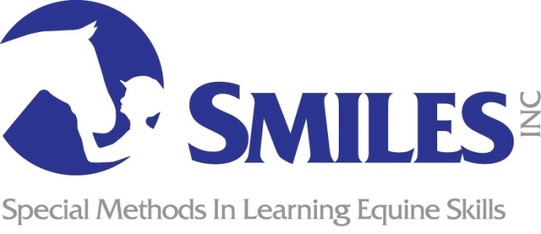 Logo for SMILES 2027 Calendar Contest