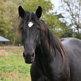 Entry image for Darryl 