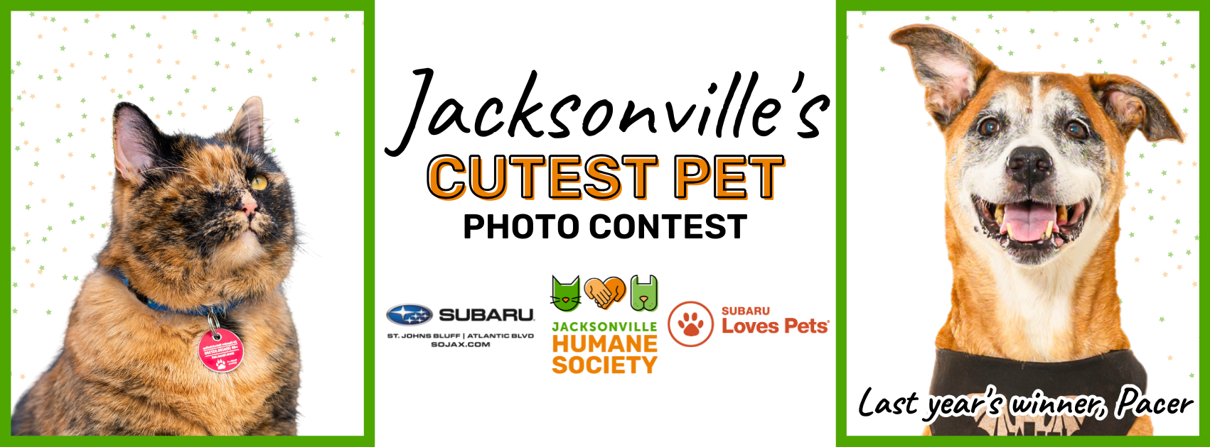 Banner for Jacksonville's Cutest Pet Contest