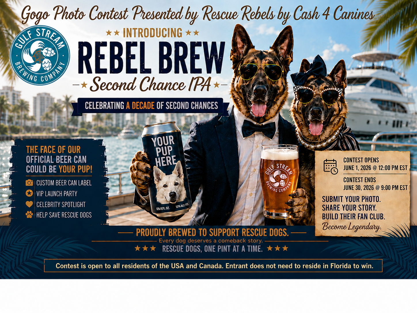 Banner for Rebel Brew: Second Chance IPA Craft Brew Beer Can Label Contest