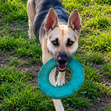 Entry image for Jûna