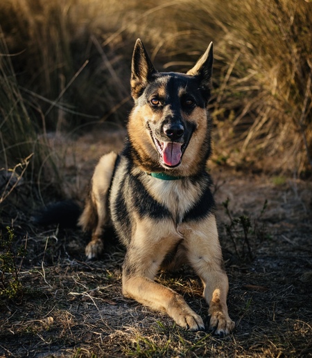 Entry image for Kai. Clicking this image will show a larger photo