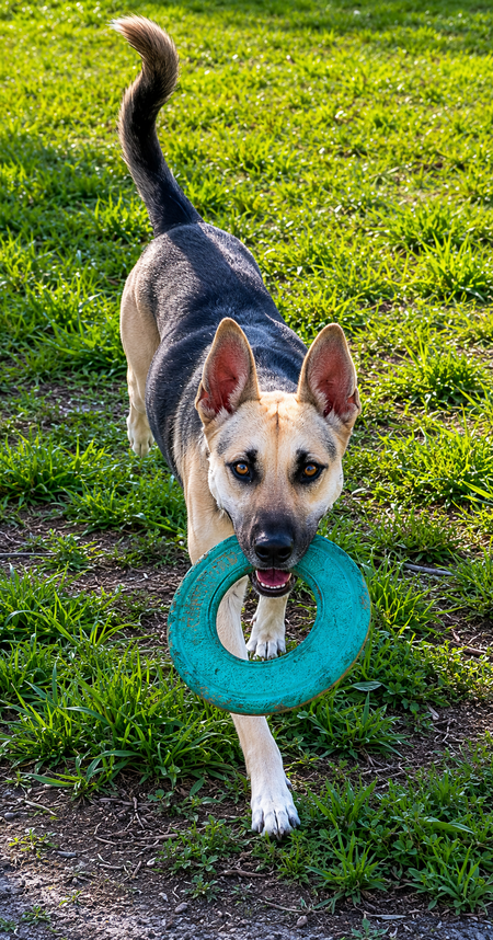 Entry image for Jûna. Clicking this image will show a larger photo