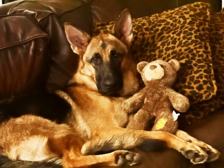 Entry image for Jada. Clicking this image will show a larger photo