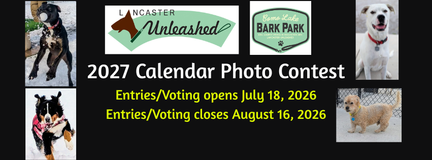 Banner for Como Lake Bark Park Annual Calendar Photo Contest