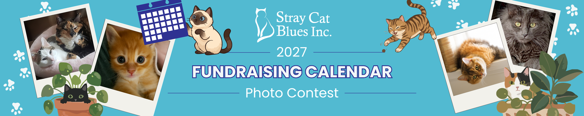 Banner for 2027 Stray Cat Blues  Calendar Photo Contest