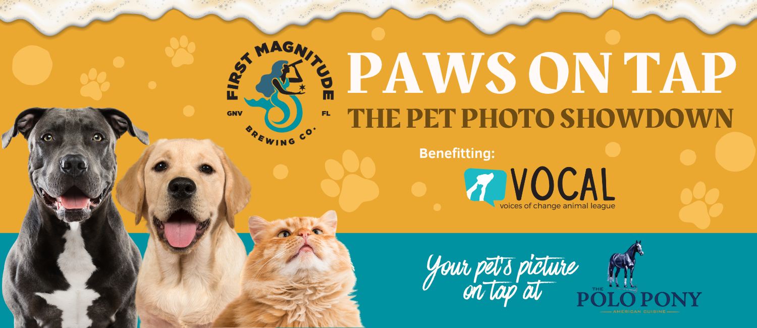 Banner for Paws on Tap: The Pet Photo Showdown