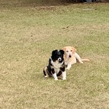 Entry image for Willy and Sally