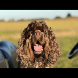 Entry image for George