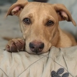 Entry image for Ellie Mae
