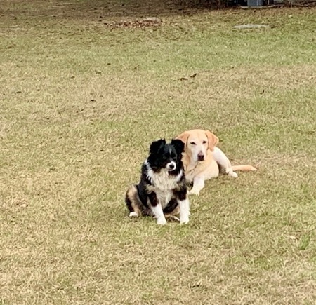 Entry image for Willy and Sally. Clicking this image will show a larger photo