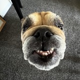 Entry image for Roxy