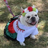 Entry image for Winnie