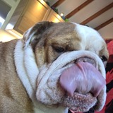 Entry image for LUCY