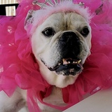 Entry image for Miss Lulu