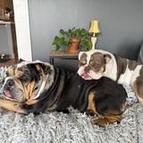 Entry image for Frank and Georgina