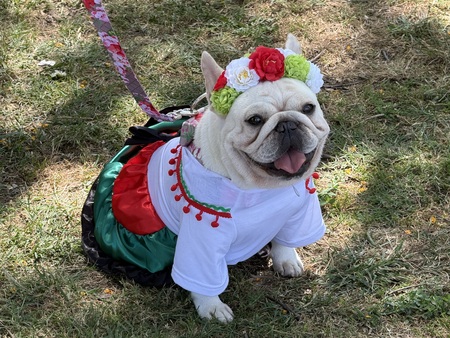 Entry image for Winnie. Clicking this image will show a larger photo