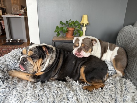 Entry image for Frank and Georgina. Clicking this image will show a larger photo