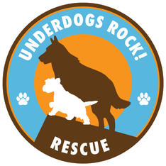 Logo for The Cutest Dog In Washington County