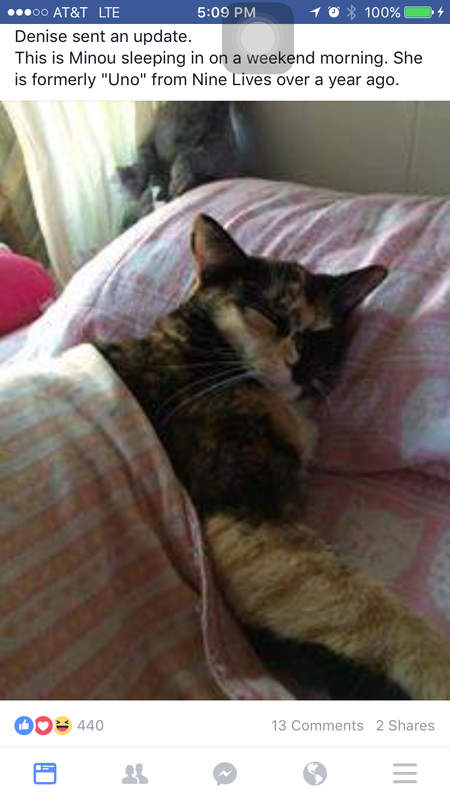 Minou