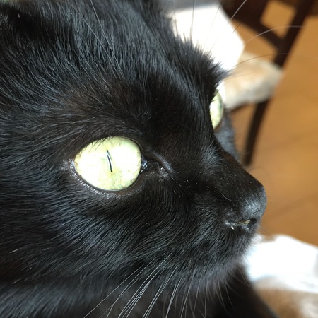 Abby