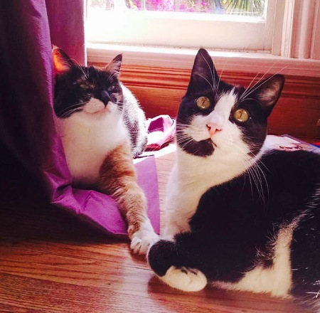 Gigi & Gianni