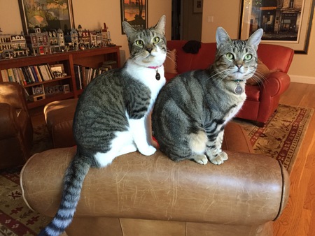 Pandora & Thor