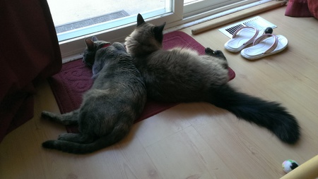 Candy & Kahlua