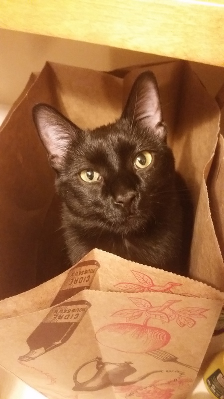 Emmett