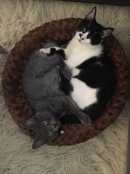Smurf & Wanda 