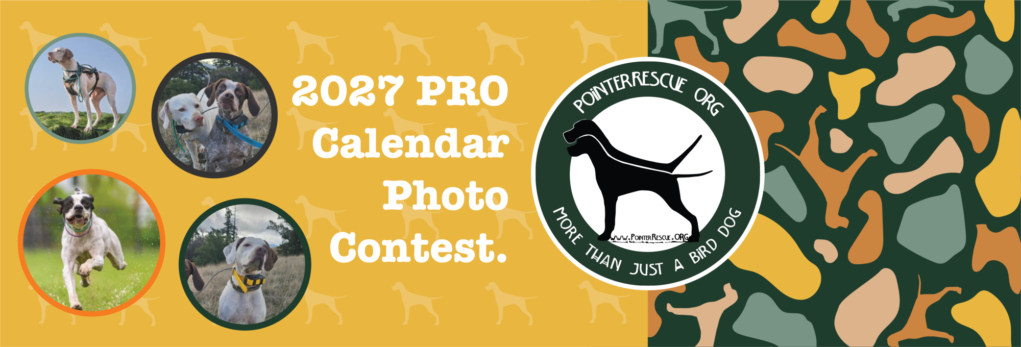 Banner for 2027 PRO Calendar Photo Contest