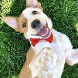 Entry image for Tucker