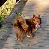 Entry image for Lola