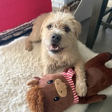 Entry image for Sophie
