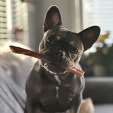 Entry image for Ava