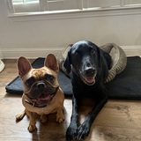 Entry image for Khloe and Rem