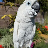 Entry image for Elvie 