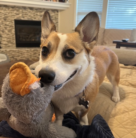 Entry image for Bree. Clicking this image will show a larger photo