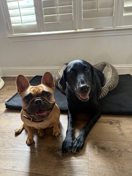 Entry image for Khloe and Rem. Clicking this image will show a larger photo