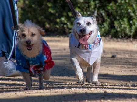 Entry image for Lewis and Freckles. Clicking this image will show a larger photo