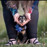 Entry image for Twiggy