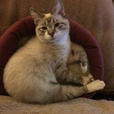 Entry image for KiKi
