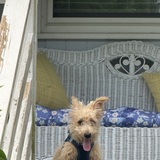 Entry image for Timmy