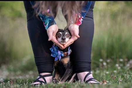 Entry image for Twiggy. Clicking this image will show a larger photo