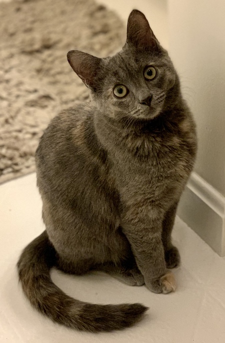 Entry image for Margo. Clicking this image will show a larger photo