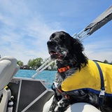 Entry image for Zeke (formerly Spithas)