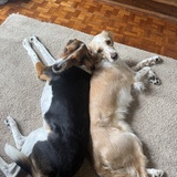 Entry image for Talia and Rufus